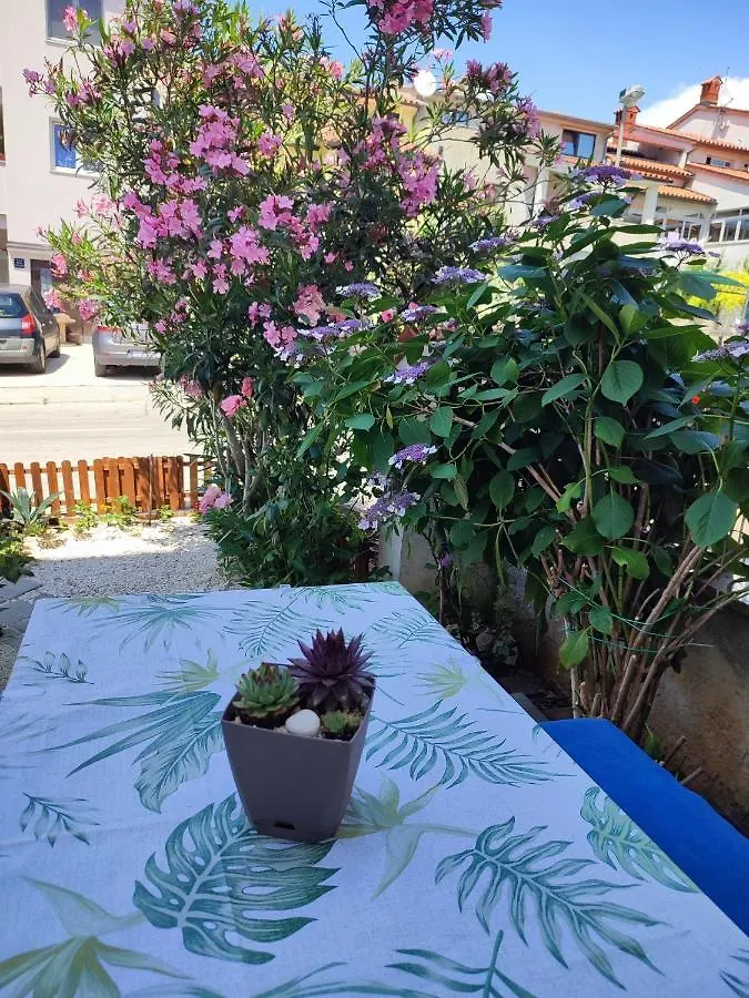 Apartment Apartman Mia Pula Croatia